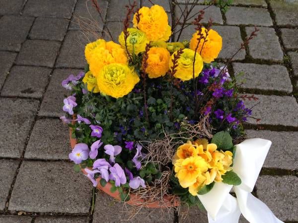 Gärtnerei Vietzen in Ulm | Trauerfloristik Pflanzschale gelb / violett
